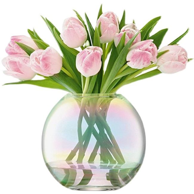 Glass Flower Base, Vase, Round, Round, Vase, Glass, Large, Stylish, Vase, Scandinavian, Vase, 7.9 inches (20 cm), Vase, Vase, Garden, Glass, Gradient, Modern, Simple, Transparent, Wide Mouth, Elegant, Interior