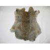 Treasure Gurus Natural Rabbit Pelt