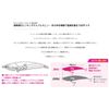 Duo CYA0811 Beach Walker Limber 95S Fake Bait