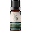 Litsea Cubeba 100% Pure Essential Aromatherapy Oil 10ml