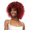 Janet Collection Natural Curly Wig Natural Afro Leon (1B)