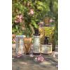 paniedesansu Absolut Rose Geranium Hand Cream 75ml (Hands Skin for Moisturizing, Boxed, huressyuhuro-raru Scent)