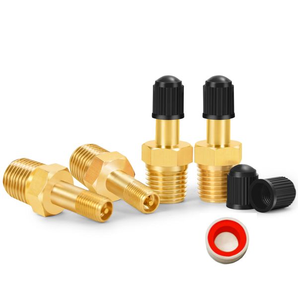 GODESON 1/4" NPT Tank Valve, Anti-Corrosion Brass Schrader Valve with 1/4" Male NPT,Using with Air Compressor Tanks(Pack of 4)