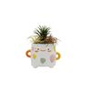 Cute  Face Planter Smiley Succulent Pot, 3 Inch Ceramic Plant Pot