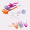 Chameleon Powder 3 Colors Set (168)