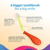 RADIUS Big Kidz Forever Brush Replaceable Head Toothbrush for Children, 6 Years and Up, BPA Free ADA Accepted for Growing Teeth and Gums - Right and Left Handed, Extra Soft