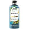 Herbal Essences Pure - Shampoo with Moroccan Argan Oil, 250 ml