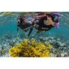 SCUBAPRO Spectra Snorkel (Clear/Blue)