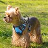 Adjustable Reflective Pet Dog Harness w/ Handle Control No Pull Blue Dogs Vest