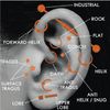 BodyJ4You 36PC PRO Body Piercing Kit | Nose Septum Ear Cartilage Lip Belly Navel Tragus Eyebrow | Surgical Steel 14G 16G BCR CBR Ring Barbell Spike | Tools Needles Gloves Clamps