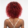 Janet Collection Natural Curly Wig Natural Afro Leon (1B)