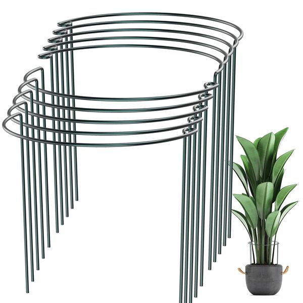 SZMDLX Plant Stanch, Set of 10, 9.8 x 15.7 inches (25 x 40 cm), Semicircular, Flower Vine Plants, Attracting Plants, Foliage Stanches, Gardening Stanches, Plant Supports, Flower Supports, For Agriculture, Gardening