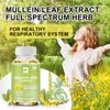 2*120Pcs Mullein Leaf Capsules | 3000mg | 200 Count | Support Lung Cleanse
