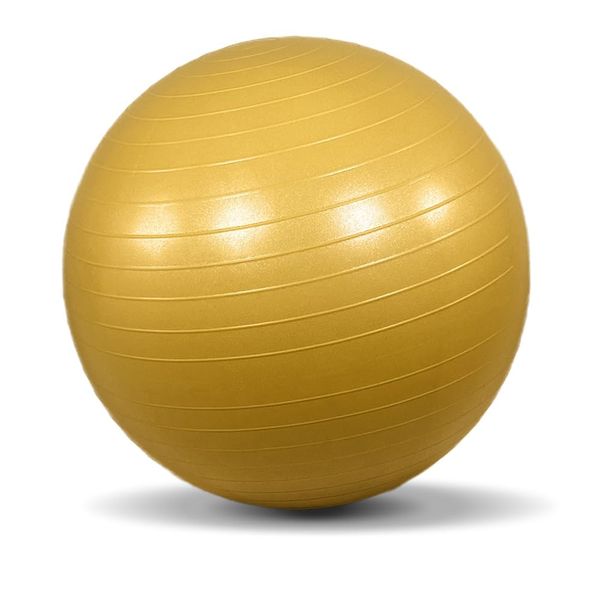 Iris Plaza Balance Ball, 25.6 inches (65 cm), Hand Pump Included, PVC Material, Anti-Slip, Safe, Fitness, Diet, Health Equipment, Core Training, Exercise, Stretching, Training, Home Training, Pelvis,