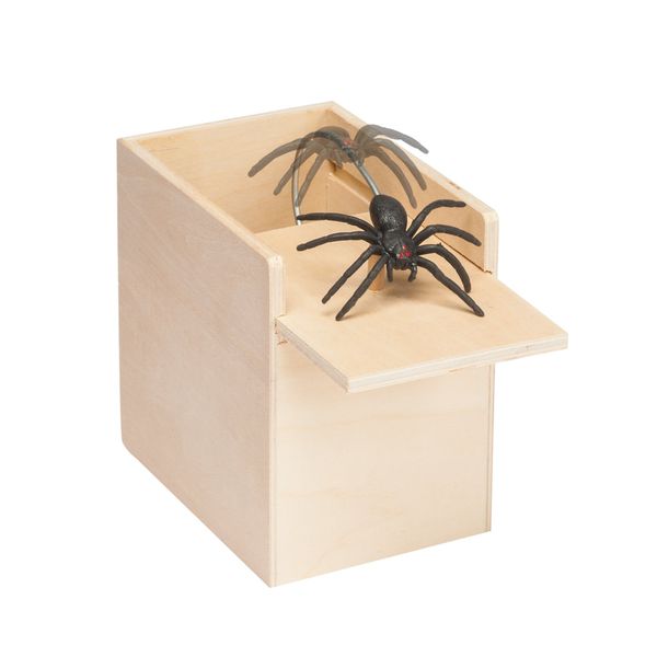 The Paragon Spider Surprise - Scare Box, Hilarious Practical Joke Money Box