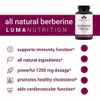 Berberine 1200 mg 60 capsules- Enhances immune function and promotes cholesterol