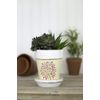 DecoArt DCP15-3 Patio Paint, 2-Ounce, Daisy Cream
