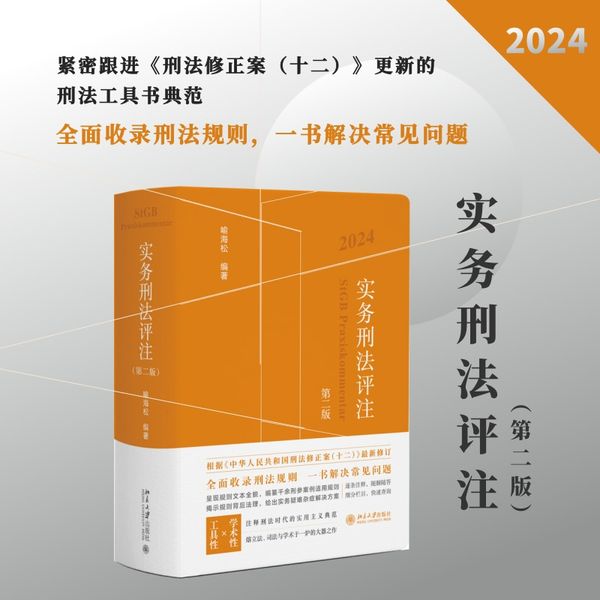 实务刑法评注（第二版）刑法规则集成 刑事诉讼程序的刑法全典 实务工作者的刑法工具书 喻海松著
