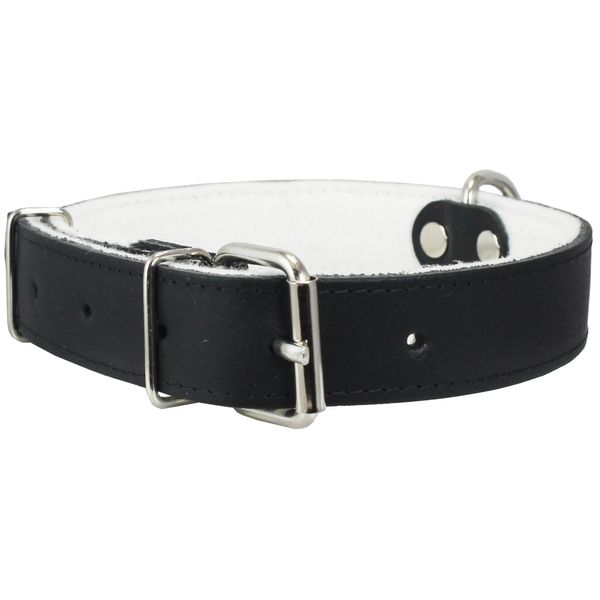 Dogs My Love Genuine Leather Felt Padded Dog Collar (18"-22.5" Neck; 1.25" Wide, Black)