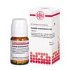Arundo mauritanica D6 DHU Tabletten, 80 St. Tabletten