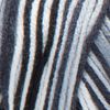 RED HEART Super Saver Yarn, Print-Zebra