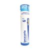 Boiron Ipecacuanha 6C, 80 Pellets, Homeopathic Medicine for Nausea