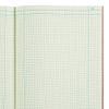 National Brand Computation Notebook, 4 X 4 Quad, Brown, Green Paper, 11.75 x 9.25 Inches, 75 Sheets (43648)