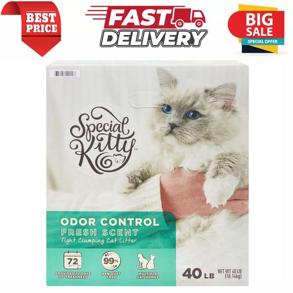 Special Kitty Odor Control Tight Clumping Pet Cat Litter, Fresh Scent, 40 lb