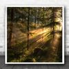 Fingerprint Designs Light Landscape Forest Trees Tree Rays Beams Sunlight Square Wall Art Print
