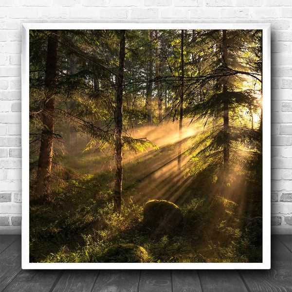 Fingerprint Designs Light Landscape Forest Trees Tree Rays Beams Sunlight Square Wall Art Print