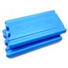 Cat Mate Replacement Ice Packs for Automatic Feeders (2 Pack, C20/C200)