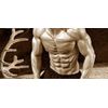 Muscle Building Supplements - Deer Antler Plus 550mg - Oligomeric 1B