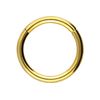 PIERCINGLINE Titanium Segment Ring Clicker, Piercing for Nose, Septum, Ear, Helix or Tragus, Titanium