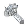 API 17MK62X Low Beam Headlight Bulb Fits 2019 Freightliner Sprinter 1500