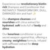ONEIRO Sunchasers Hair Bundle NEW Shampoo & Conditioner 100ml