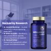Wellance Labs NoctiZen Sleep Support Supplement with Melatonin, Valerian Root, Magnesium