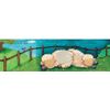 Piggy Toes Touch and Feel Storybook
