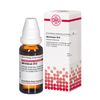 DHU Abrotanum D12 Dilution, 20 ml Lösung