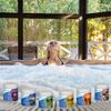 Waters Choice Tranquility Aromatherapy Salts for Spa