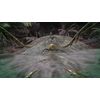 ARK: Survival Evolved (PS4)
