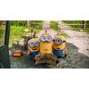 Minions (Blu-ray 3D + Blu-ray + UV Copy) [2015]