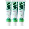 (Dentis) Dentiste Tube Type (Dentiste' Plus White) 160g x 3 Set [Parallel Import]
