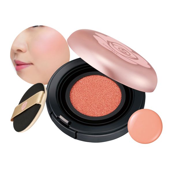 pure color cushion cheek