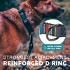 Embark Pets Dog Collar Urban Collar Mayan M