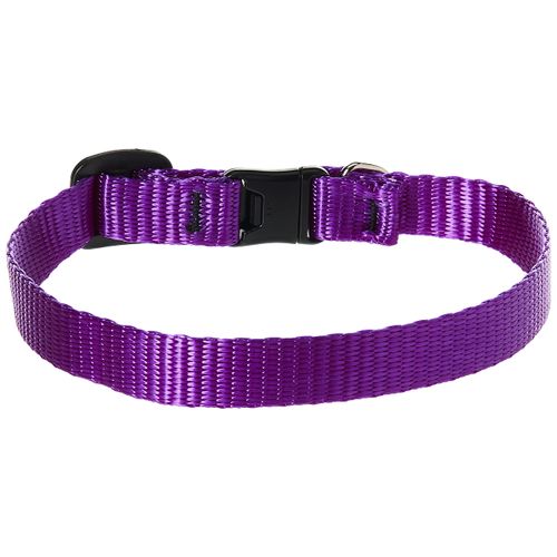 LupinePet Basics 1/2" Purple Cat Safety Collar , 8-12"