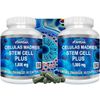 MADRE CELL- 1000 MG- STEM CELL 120 CAPSULES VITAL PLUS CELULAS MADRES