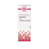 Tormentilla Urtinktur DHU, 20 ml Lösung