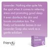 Friendly Soap Handmade Natural Lavender Soap - Relaxing, Indulgent, Exfoliating 95g