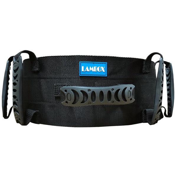 LAMBOX Gait Belt Transfer Belt with Plastic Handles-Medical Nursing Safety Patient Assist for Occupational & Physical Therapy, Seniors with Metal Buckle 55"