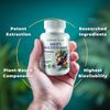 Men's Multivitamin & Mineral Complex, Blended Male Support Complex by Todicamp